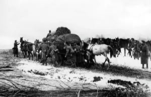 Push: Soldiers on the Eastern Front, 1941