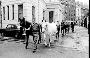 Horseguards: Soldiers leading horses