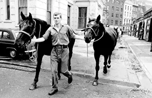 Horseguards: Soldiers leading horses
