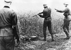 Cornfield: Soldiers shooting a Russian, Eastern Front, WW2
