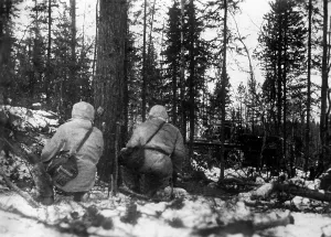 Dense: Soldiers of the Waffen-SS on the Eastern front, 1941