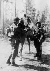 Baggage: Soldiers of the Waffen-SS - Eastern Front, 1941