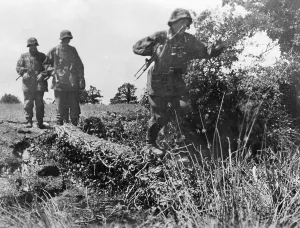Commissioned: Soldiers of the Waffen SS in Normandy, 1944