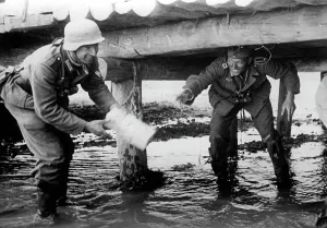 Foto: Soldiers of the Wehrmacht by defusing an explosive device