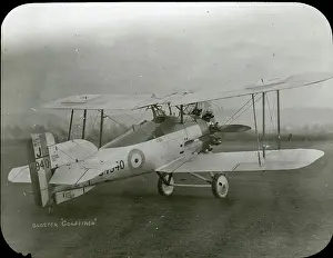 Goldfinch: The sole Gloster Goldfinch, J7940