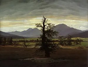 Keeps: The Solitary Tree, by Caspar David Friedrich