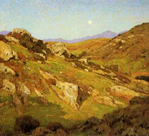 Sunlit: There is No Solitude Even in Nature