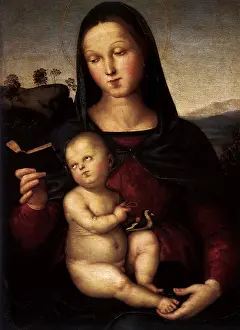 Solly: Solly Madonna, by Raphael