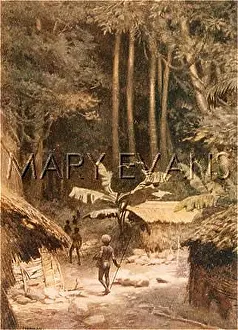 Melanesian: SOLOMON ISLANDS/FOREST