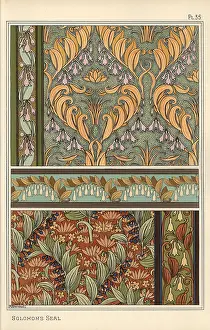 Grasset: Solomon's seal, Polygonatum multiflorum, as