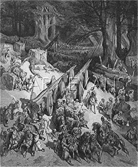 Cedars: SOLOMON'S TEMPLE BUILDS