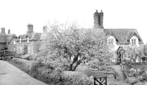 Somerleyton: Somerleyton, the Green c1955