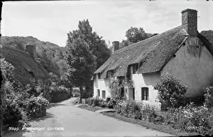 Charming: A Somerset Cottage
