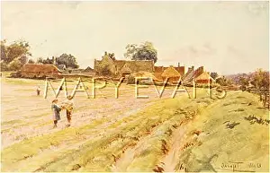 Hayfield: SOMERSET FARM