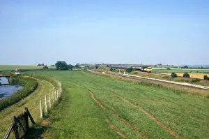 Liable: Somerset Levels, Somerset