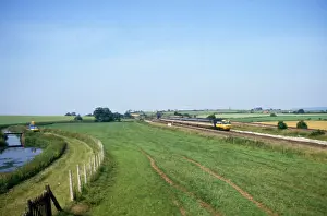 Liable: Somerset Levels, Somerset