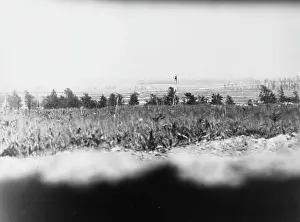 The Somme 1916