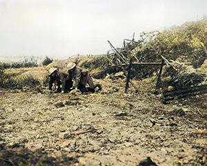 Hamel: The Somme 1916