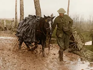 Haunting: The Somme in Colour