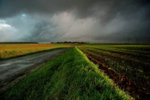 Stormy: The Somme - Guillemont