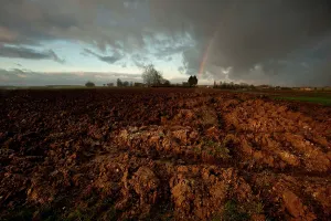 Soil: The Somme - Guillemont