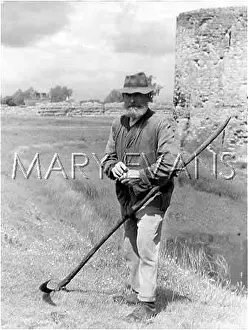 Yokel: SON OF THE SOIL