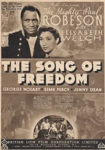 Campaigner: Song of Freedom poster