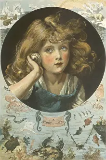 Seashell: A SONG OF THE SEA