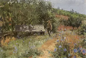 Dappled: Sonoma County Landscape