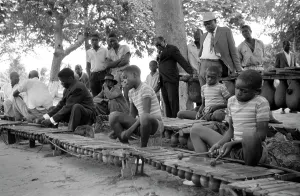 Ethnomusicology: Three sons of Chief Mahlatini playing in the orchestra