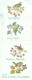 Blackberries: Get Well Soon illustrated note from Molly Brett