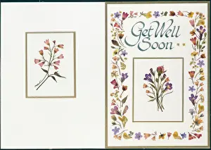 Rosebud: Get Well Soon ' Rosebud, Lobelia etc