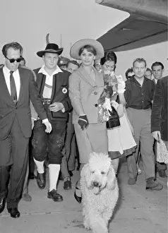 Vienna Schwechat: Sophia Loren in Vienna
