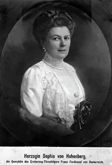 Erzherzog: Sophie