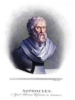 Sophocles: Sophiocles - Cheesman