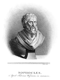 Sophocles: Sophiocles - Cheesman