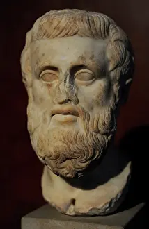 Bearded: Sophocles (497-406 BC). Bust