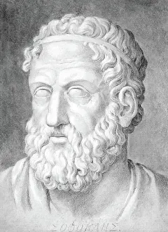 Tragedian: Sophocles, Ancient Greek Playwright