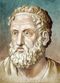 Tragedian: Sophocles, Greek Tragedian
