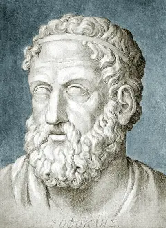 Tragedian: Sophocles, Greek Tragedian