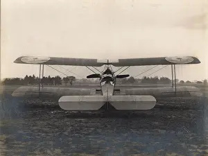 Strutter: Sopwith 1 1/2 Strutter Rear view