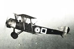 Strutter: Sopwith 15 Strutter two seater of the Army's Royal Flyi?