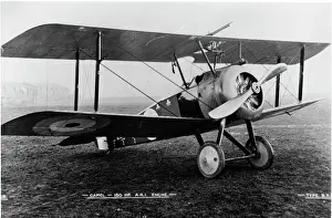 2f.1: Sopwith 2F Camel fighter plane