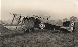 Sopwith: Sopwith 5F1 Dolphin D5263