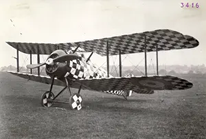 Snipe: Sopwith 7F1 Snipe