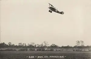 Snail: Sopwith 8F1 Snail