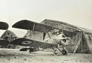 Single Seat: Sopwith Camel
