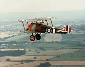 Single Seat: Sopwith Camel F-1