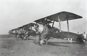 Single Seat: Sopwith Camel F-1
