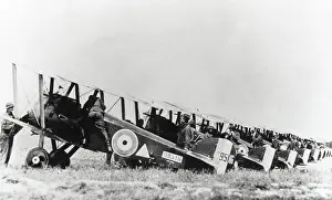 Single Seat: Sopwith Camel F-1